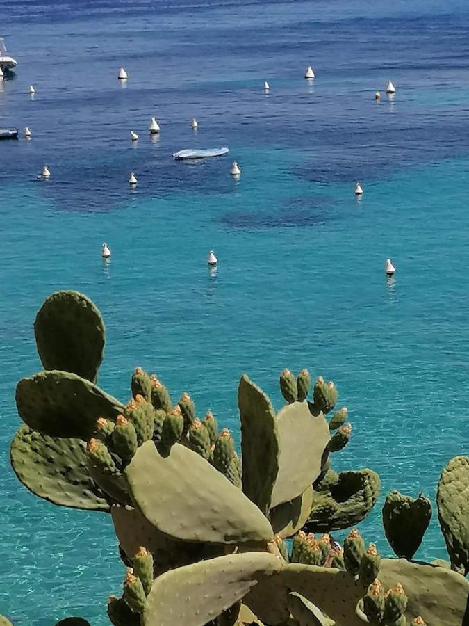 Casa Vacanza Tra Cielo E Mare クストナーチ エクステリア 写真